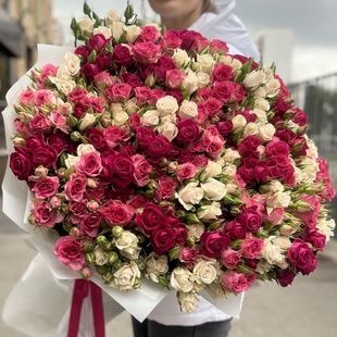 101 кущова троянда 032411 фото